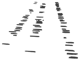 A black and white image of a keyboard

Description automatically generated